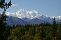 Denali nasjonalpark og bevar AK2006-0377.jpg