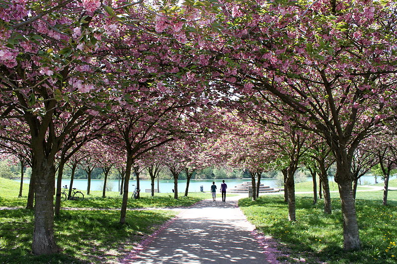 File:Der Frühling.JPG