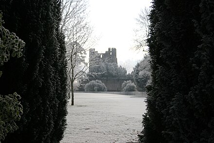 Desmond Castle