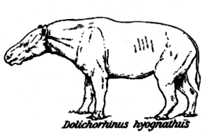 Tämän kuvan kuvaus, myös kommentoitu alla