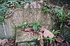 Double grave in Bukit Brown Cemetery, Singapore - 20110326-02d.JPG
