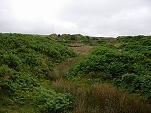 Soil mounds piled near the course of a small stream