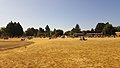 Eclipse viewing, Meriwether Lewis Elementary (2017)