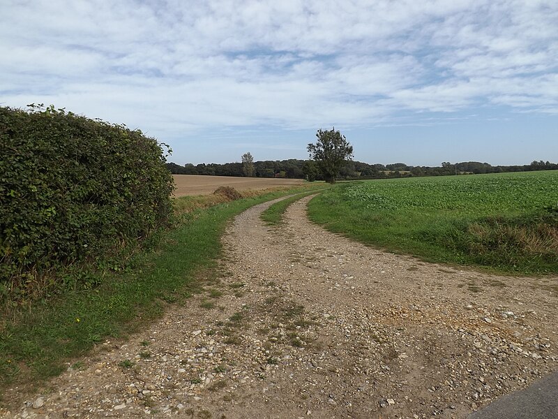 File:Entrance to The Grove - geograph.org.uk - 5173433.jpg