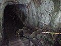 Santa Cruz adasındaki lav tünelinin girişi.