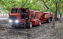 FLORY 8770 Harvester during the 2023 walnut harvest in Glenn County FLORY 8770 Harvester in walnut orchard-9090.jpg