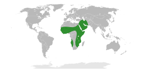 Faidherbia alba Distribution Map.svg