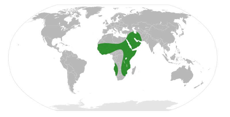 File:Faidherbia alba Distribution Map.svg