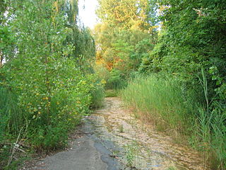 Saint-Jacques Escarpment