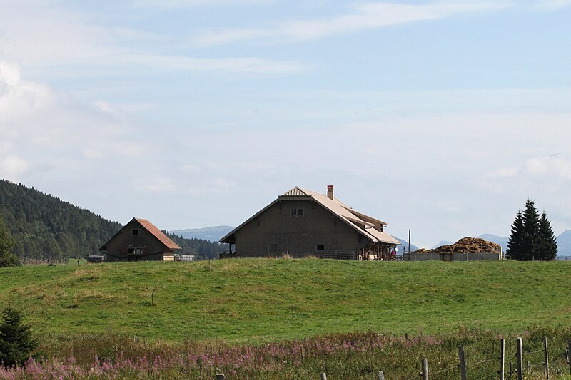 File:Ferme de la Bursine - img 44836.jpg