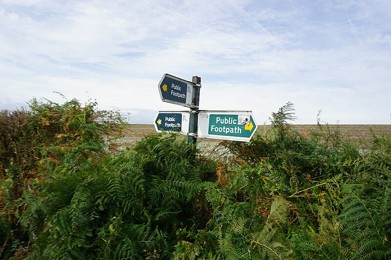 File:Fingerpost on Sandy Flat Lane - geograph.org.uk - 5913783.jpg