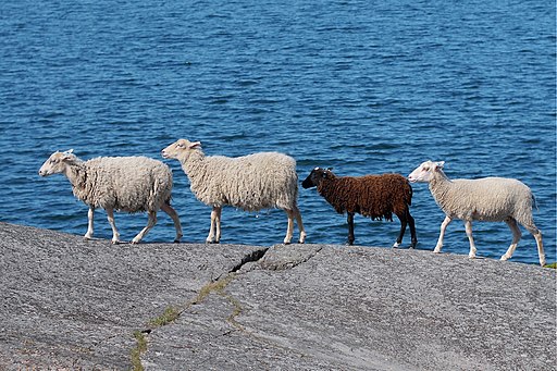 Finnish anti-vegetation task force on a Baltic sea island