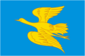 Flag of Belinsky (Penza oblast).png