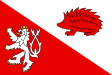 Jihlava zászlaja