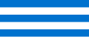 Bandeira oficial de Tallinn