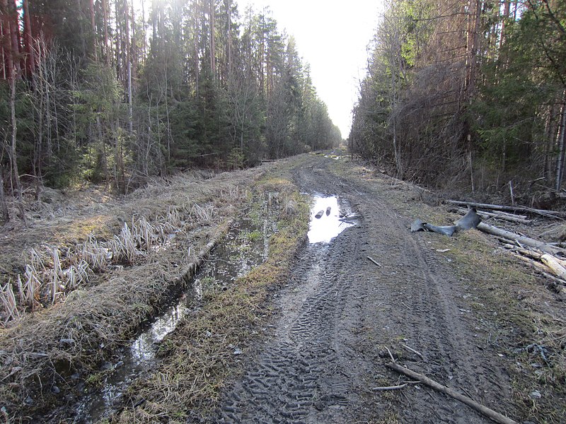 File:Gatchinsky District, Leningrad Oblast, Russia - panoramio (13).jpg