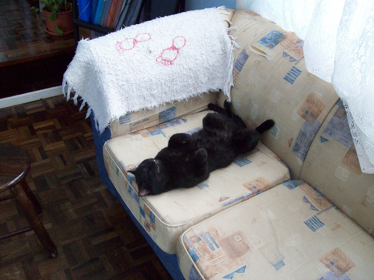 File:Gato preto py5aal.jpg - Wikimedia Commons