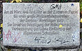 Einsame Pappel, Topsstraße 15, Berlin-Prenzlauer Berg, Deutschland