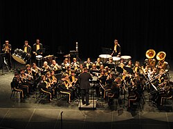 Geneva High School Band at Troy University. Geneva High Band.JPG