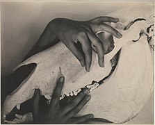 Georgia O'Keeffe—Hands and Horse Skull (1931)