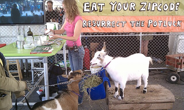 A cheesemaking workshop with goats at Maker Faire 2011. The sign declares, "Eat your Zipcode!"