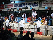 Golden Shears competition 2007 Golden Shears 2007 (414998210).jpg