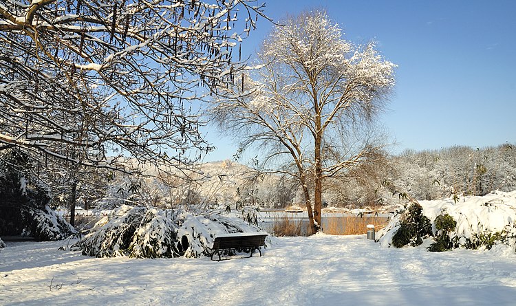 Зимний пейзаж Грюттпарка в Лёррахе, Германия