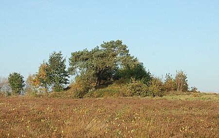 Grabhügel Langeln 01