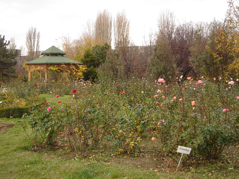 File:Gradina Botanica Galati.JPG