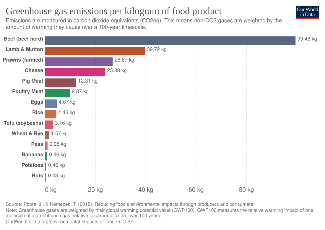 Environmental vegetarianism