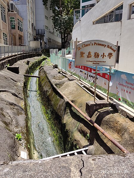 File:HK ML 半山區 Mid-levels 般咸道 Bonham Road August 2022 Px3 40.jpg