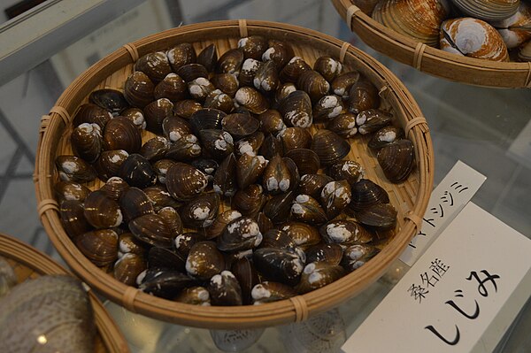 Shijimi clams being sold in Kuwana. The city is historically known for its clams