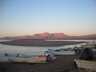 <span class="mw-page-title-main">Panga (skiff)</span>