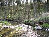 Hergstbach mit - noch - kräftiger Wasserführung bei Dippach