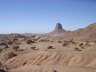 <span class="mw-page-title-main">West Saharan montane xeric woodlands</span> Ecoregion in the Sahara