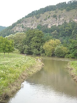Gurahonţ的景色