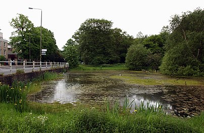 ISH WC WimbledonCommon4.jpg