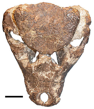 <i>Iharkutosuchus</i> Extinct genus of reptiles