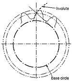 Involute teeth Involute teeth.jpg