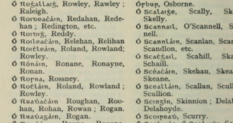 Image of page 114 from the book "Irish Names and Surnames" by Rev Patrick Woulfe (published 1922) Irish Names and Surnames - Rev Patrick Woulfe - O Rothlain.png