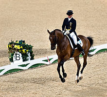 Em uma arena de adestramento, um cavaleiro em uma sobrecasaca e seu cavalo baio parecem não ter peso, nenhum membro do cavalo tocando o chão.