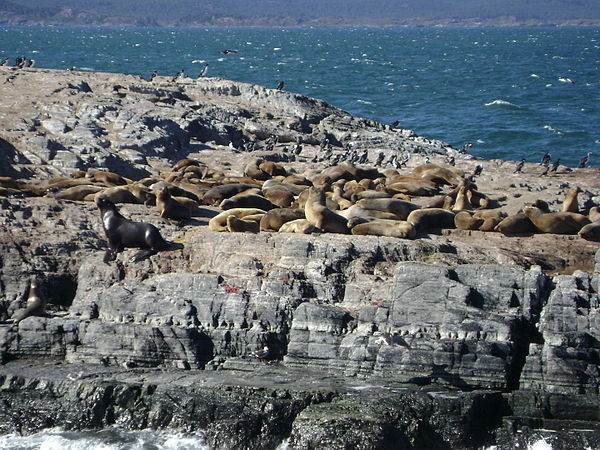 Isla de los Lobos