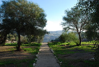 Kiryat Menachem