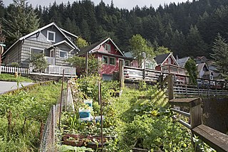 Fries Miners Cabins