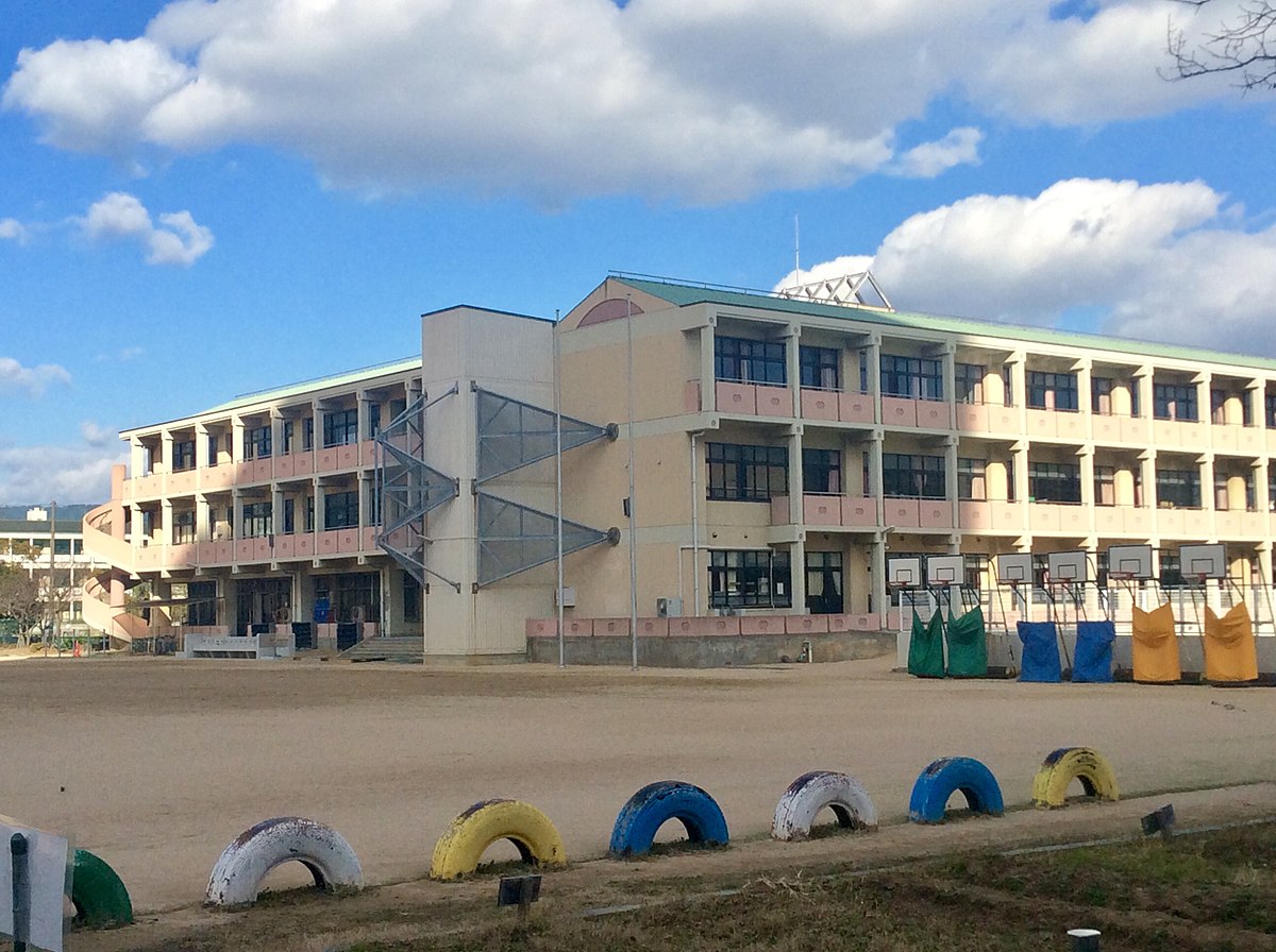 Island school. 4 Школа остров. АНТИШКОЛА остров. Остров школьный для выпуска. Antilles School.