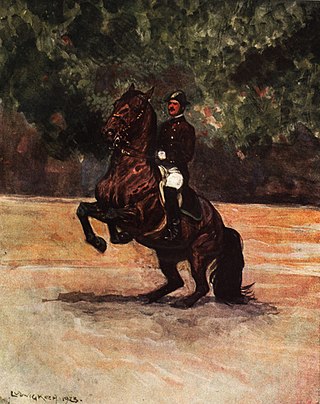 <span class="mw-page-title-main">Airs above the ground</span> Movements in classical dressage