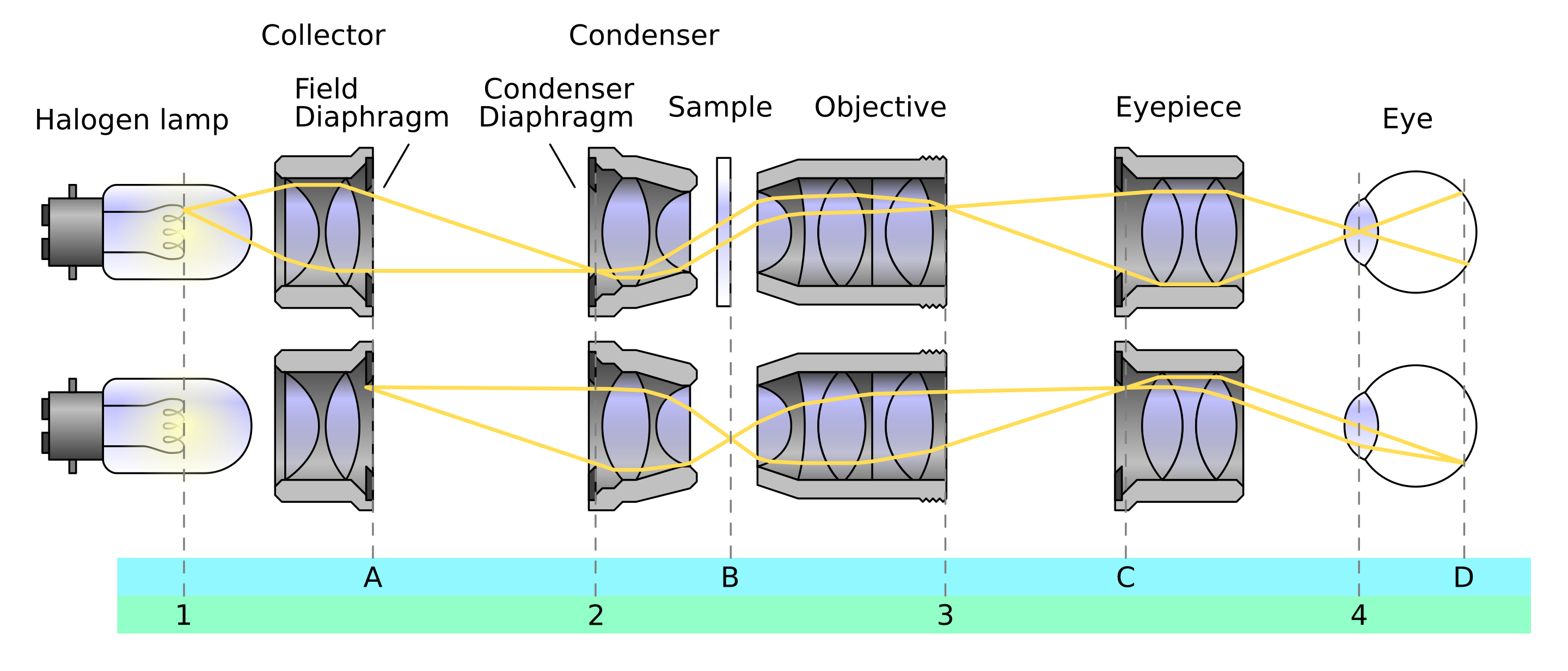 Schematics of Köhler illumination