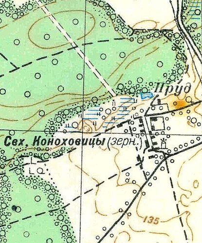 Совхоз Коноховицы. 1938 год