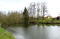 Čeština: Menší rybník v Rousínově, části Kozmice English: Small pond in Rousínov, part of Kozmice village, Czech Republic