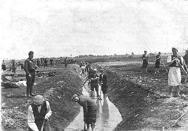 Prisoners of the Krychów forced labor camp dig irrigation ditches for the new German latifundia of the General Plan East in 1940. Most of them, Polish